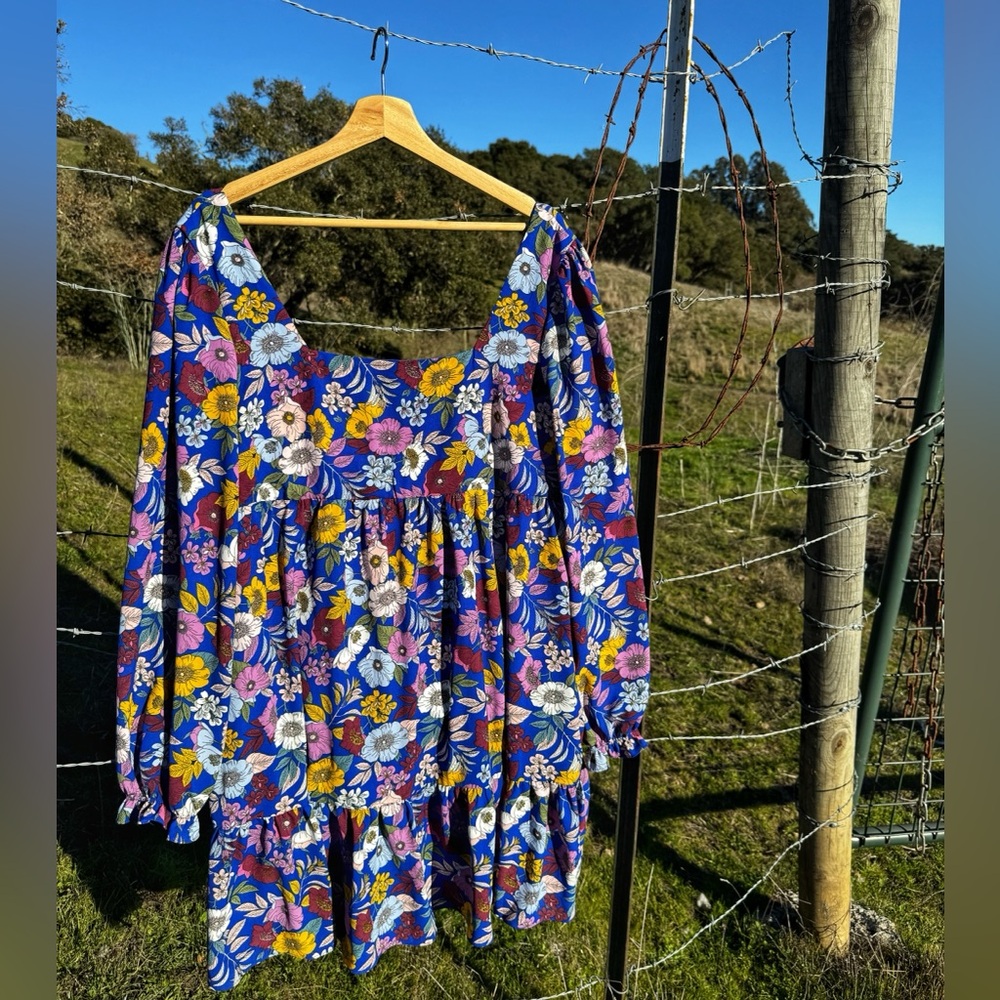 BCBG long sleeve, retro floral, babydoll dress. Size 14
